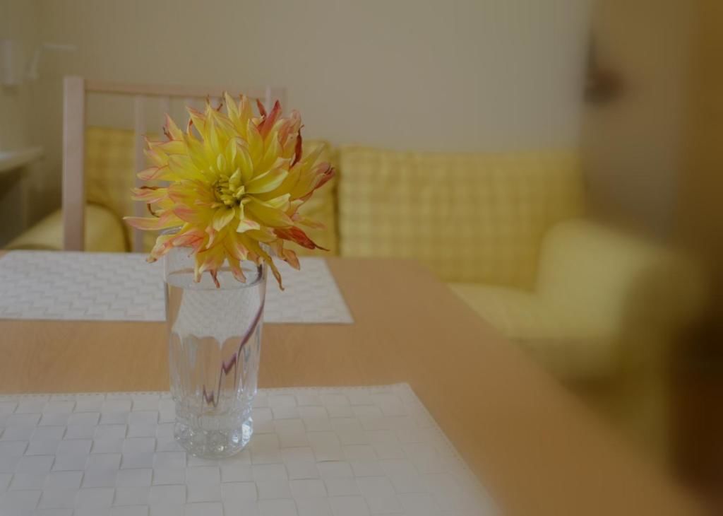 Апартаменты Karoso-20 Apartments Клайпеда-30